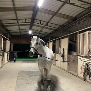 Meet your Posher, Quinn